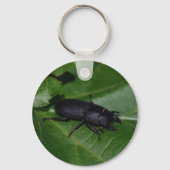 Dorcus paralllipipedus 、レッサークワッド キーホルダー (裏面)