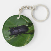 Dorcus paralllipipedus 、レッサークワッド キーホルダー (裏面)