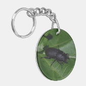 Dorcus paralllipipedus 、レッサークワッド キーホルダー (正面左)