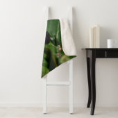 Dorcus paralllipipedus 、レッサークワッド シェルパブランケット (インサイチュ)