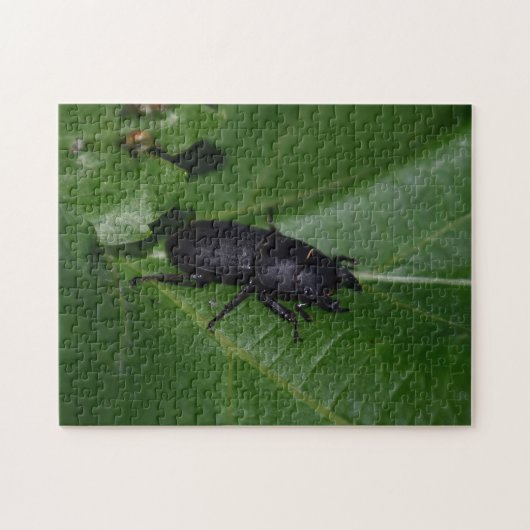 Dorcus paralllipipedus 、レッサークワッド ジグソーパズル (横)