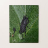 Dorcus paralllipipedus 、レッサークワッド ジグソーパズル (縦)