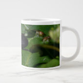 Dorcus paralllipipedus 、レッサークワッド ジャンボコーヒーマグカップ (右)