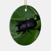 Dorcus paralllipipedus 、レッサークワッド セラミックオーナメント (右)