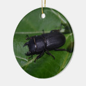 Dorcus paralllipipedus 、レッサークワッド セラミックオーナメント (左)