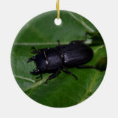 Dorcus paralllipipedus 、レッサークワッド セラミックオーナメント (裏面)