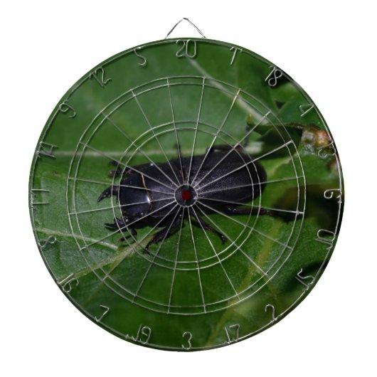 Dorcus paralllipipedus 、レッサークワッド ダーツボード (正面)