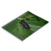 Dorcus paralllipipedus 、レッサークワッド ノートブック (左側)