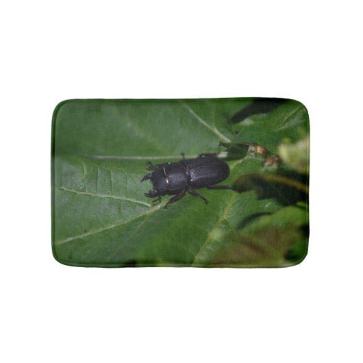 Dorcus paralllipipedus 、レッサークワッド バスマット (正面)