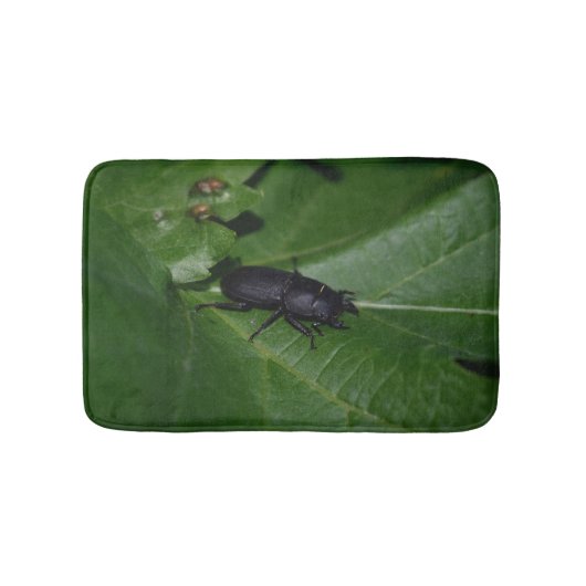 Dorcus paralllipipedus 、レッサークワッド バスマット (正面)