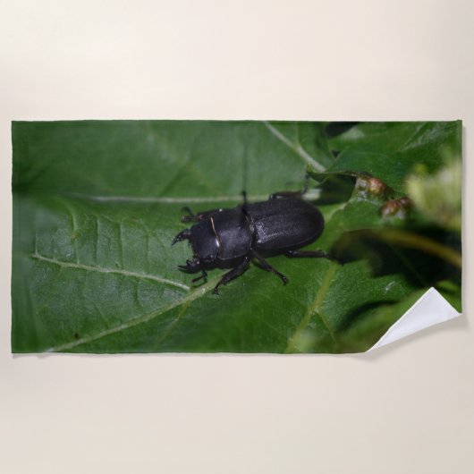 Dorcus paralllipipedus 、レッサークワッド ビーチタオル (正面)