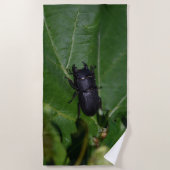 Dorcus paralllipipedus 、レッサークワッド ビーチタオル (正面)