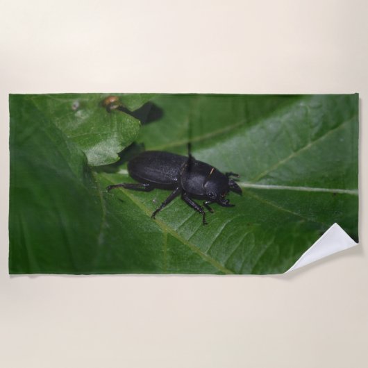 Dorcus paralllipipedus 、レッサークワッド ビーチタオル (正面)
