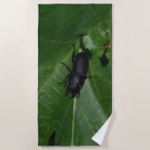 Dorcus paralllipipedus 、レッサークワッド ビーチタオル (正面)