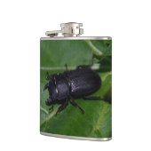 Dorcus paralllipipedus 、レッサークワッド フラスク (左)