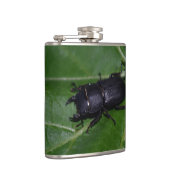 Dorcus paralllipipedus 、レッサークワッド フラスク (右)