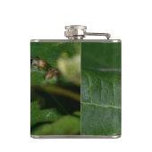 Dorcus paralllipipedus 、レッサークワッド フラスク (裏面)