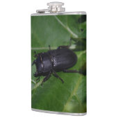 Dorcus paralllipipedus 、レッサークワッド フラスク (左)