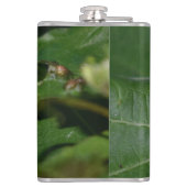 Dorcus paralllipipedus 、レッサークワッド フラスク (裏面)