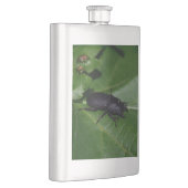 Dorcus paralllipipedus 、レッサークワッド フラスク (右)