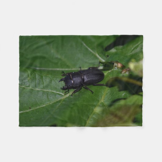 Dorcus paralllipipedus 、レッサークワッド フリースブランケット (正面(横))