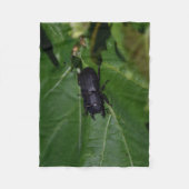 Dorcus paralllipipedus 、レッサークワッド フリースブランケット (正面)