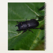 Dorcus paralllipipedus 、レッサークワッド プランナー手帳 (裏面)