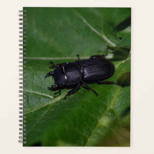 Dorcus paralllipipedus 、レッサークワッド プランナー手帳 (正面)