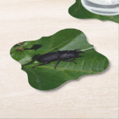 Dorcus paralllipipedus 、レッサークワッド ペーパーコースター (アングル)