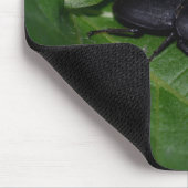 Dorcus paralllipipedus 、レッサークワッド マウスパッド (コーナー)