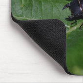 Dorcus paralllipipedus 、レッサークワッド マウスパッド (コーナー)