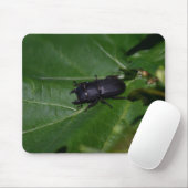 Dorcus paralllipipedus 、レッサークワッド マウスパッド (マウス)
