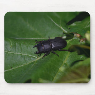 Dorcus paralllipipedus 、レッサークワッド マウスパッド