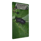 Dorcus paralllipipedus 、レッサークワッド ミニクリップボード (アングル)