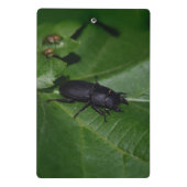 Dorcus paralllipipedus 、レッサークワッド ミニクリップボード (裏面)