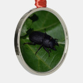 Dorcus paralllipipedus 、レッサークワッド メタルオーナメント (右)