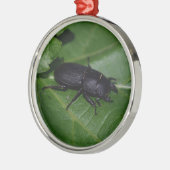 Dorcus paralllipipedus 、レッサークワッド メタルオーナメント (左)