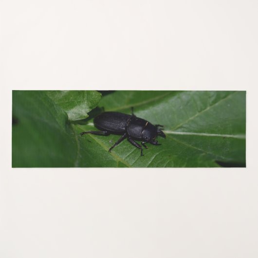 Dorcus paralllipipedus 、レッサークワッド ヨガマット (正面(横))