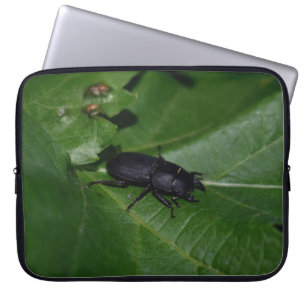 Dorcus paralllipipedus 、レッサークワッド ラップトップスリーブ