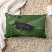 Dorcus paralllipipedus 、レッサークワッド ランバークッション (ブランケット)