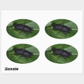 Dorcus paralllipipedus 、レッサークワッド 楕円形シール (シート)