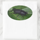 Dorcus paralllipipedus 、レッサークワッド 楕円形シール (バッグ)