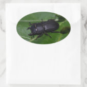 Dorcus paralllipipedus 、レッサークワッド 楕円形シール (バッグ)