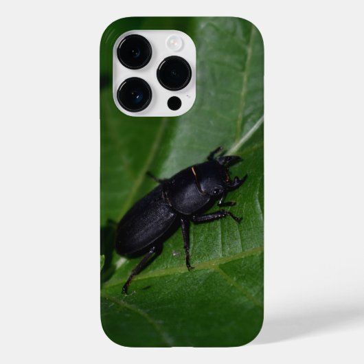 Dorcus paralllipipedus 、レッサークワッド Case-Mate iPhoneケース (裏面)