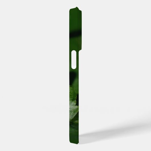 Dorcus paralllipipedus 、レッサークワッド Case-Mate iPhoneケース (裏面 / 右)