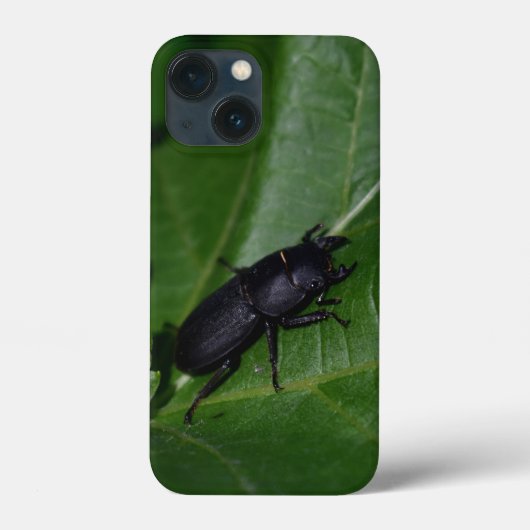 Dorcus paralllipipedus 、レッサークワッド Case-Mate iPhoneケース (裏面)