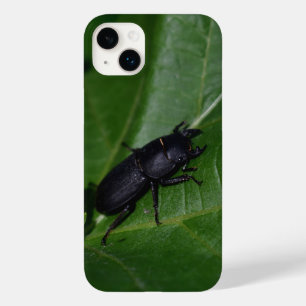 Dorcus paralllipipedus 、レッサークワッド Case-Mate iPhone 14 plusケース