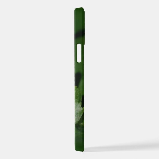 Dorcus paralllipipedus 、レッサークワッド iPhoneケース (右側面)