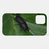 Dorcus paralllipipedus 、レッサークワッド iPhoneケース (裏面横)