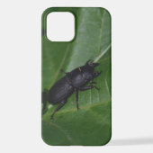 Dorcus paralllipipedus 、レッサークワッド iPhoneケース (裏面)